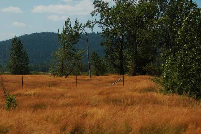 At the Black Rock Trailhead on Highway 3 toward St. Maries